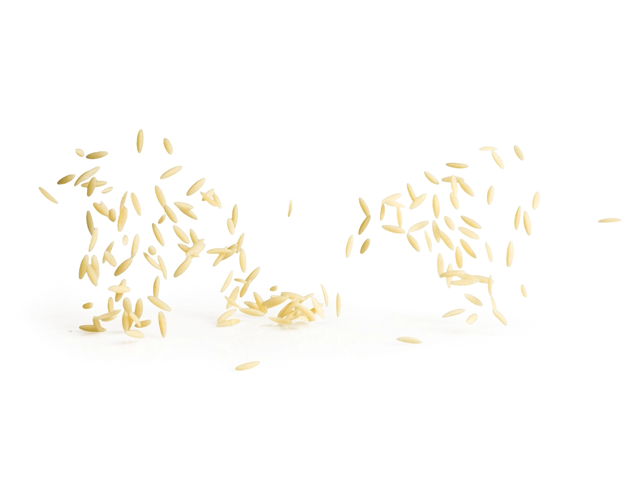 Orzo - Image 3